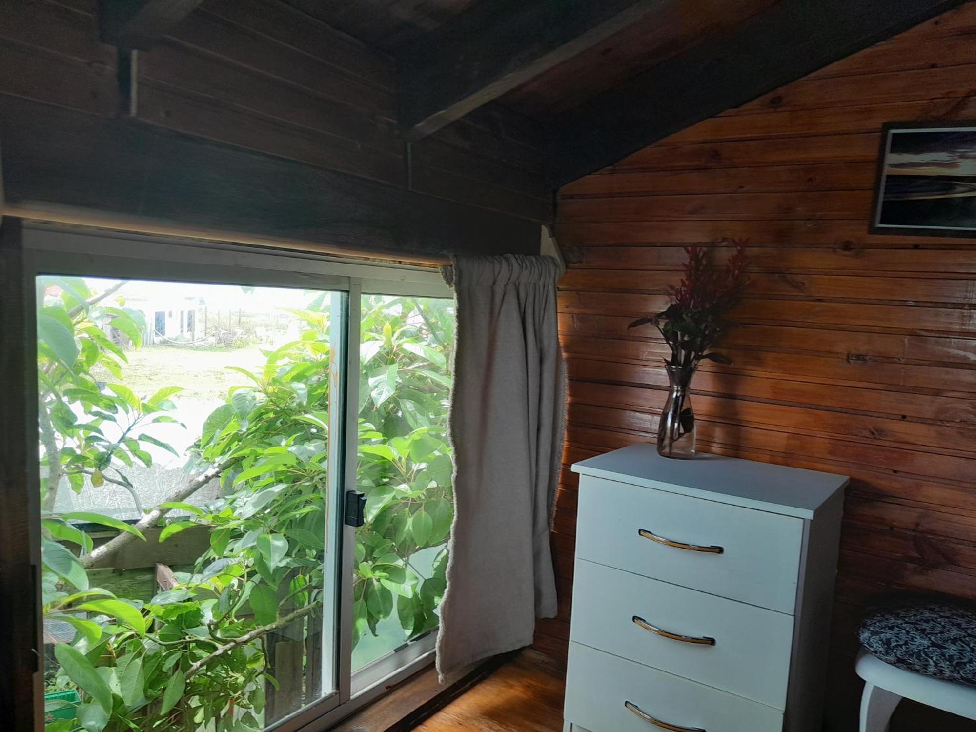 Bunker Hostel Cabo Polonio Værelse billede